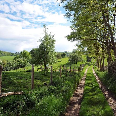 Le Bourgis Bed & Breakfast La Chapelle-Montligeon Luaran gambar