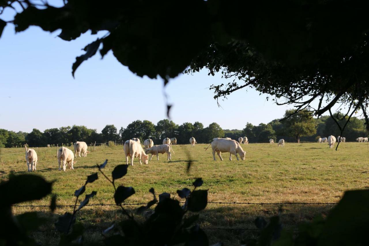 Le Bourgis Bed & Breakfast La Chapelle-Montligeon Luaran gambar
