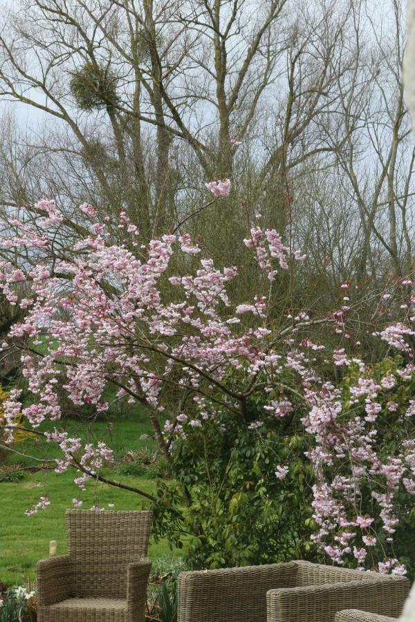 Le Bourgis Bed & Breakfast La Chapelle-Montligeon Luaran gambar