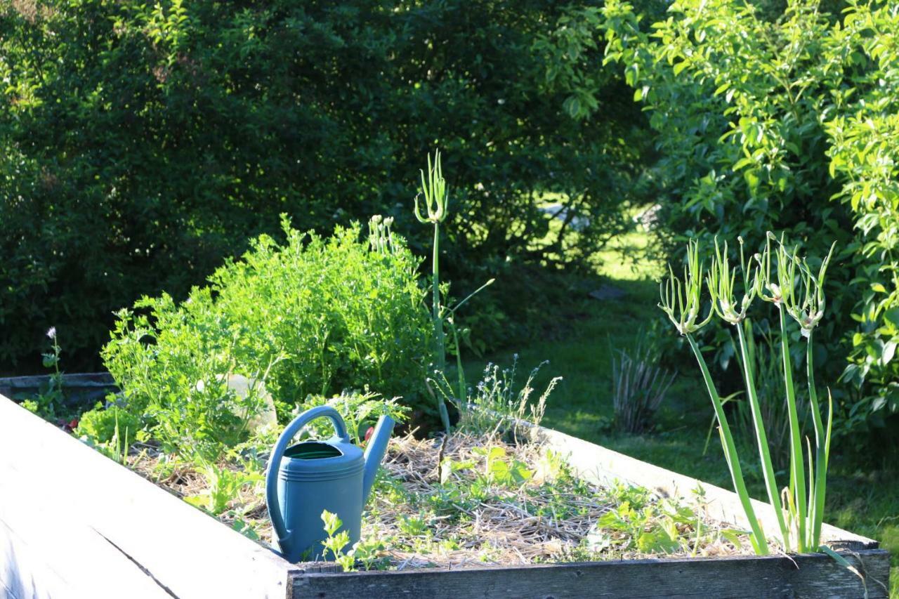 Le Bourgis Bed & Breakfast La Chapelle-Montligeon Luaran gambar