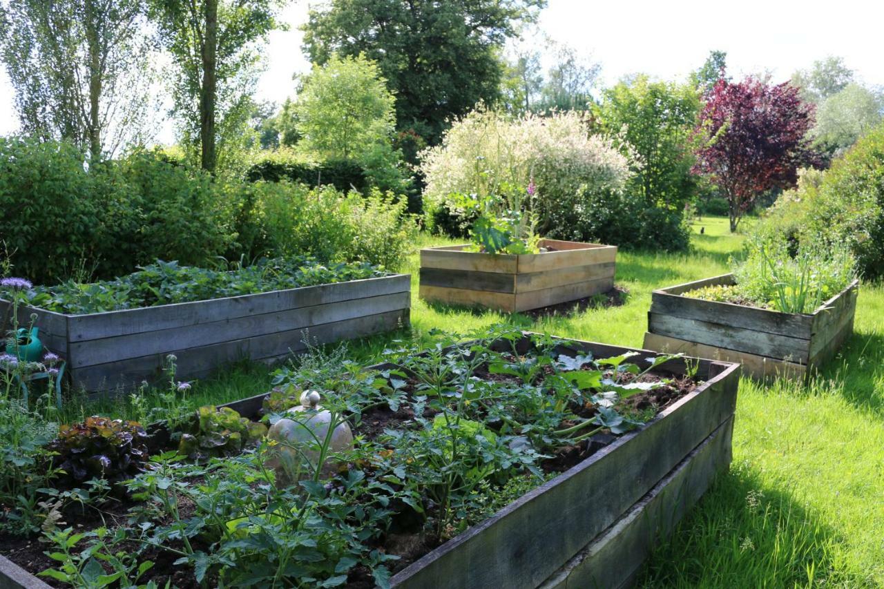 Le Bourgis Bed & Breakfast La Chapelle-Montligeon Luaran gambar