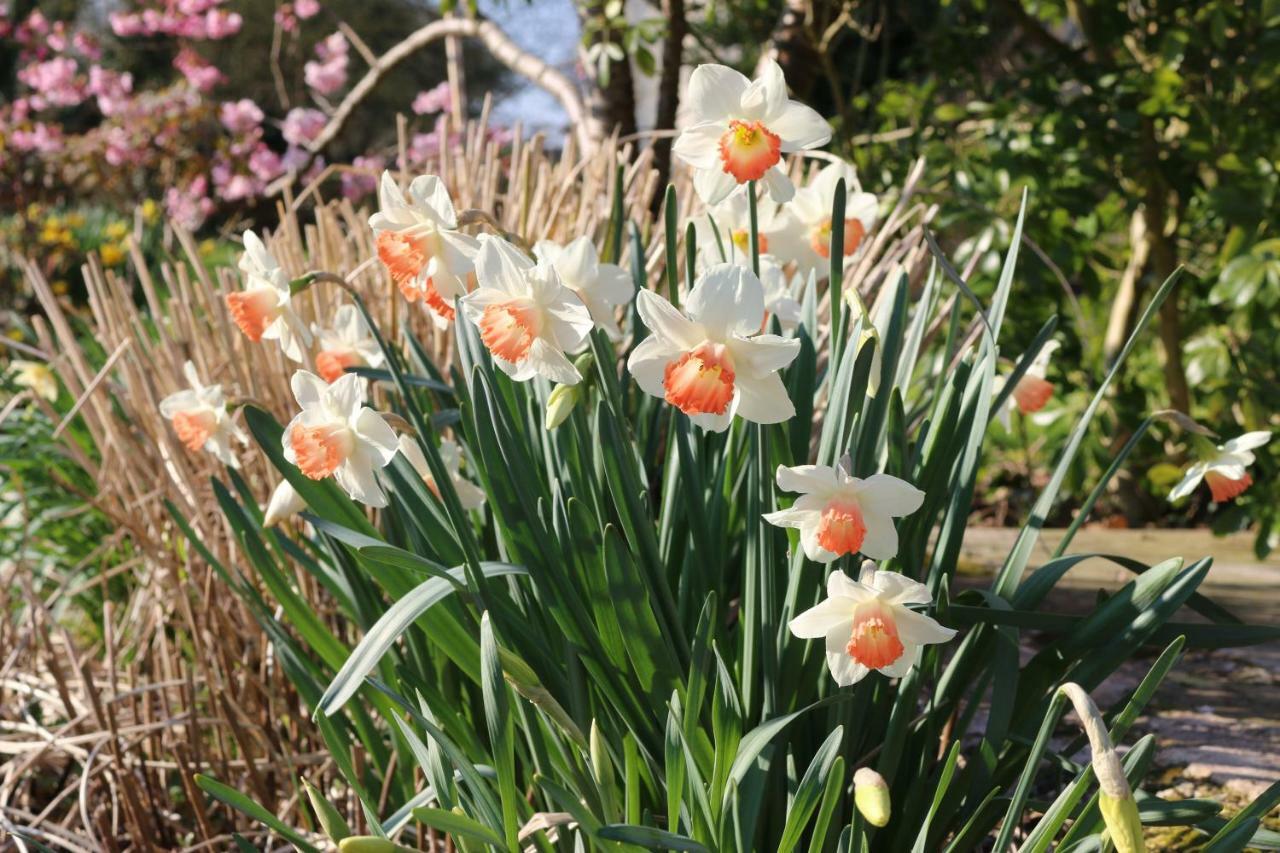 Le Bourgis Bed & Breakfast La Chapelle-Montligeon Luaran gambar