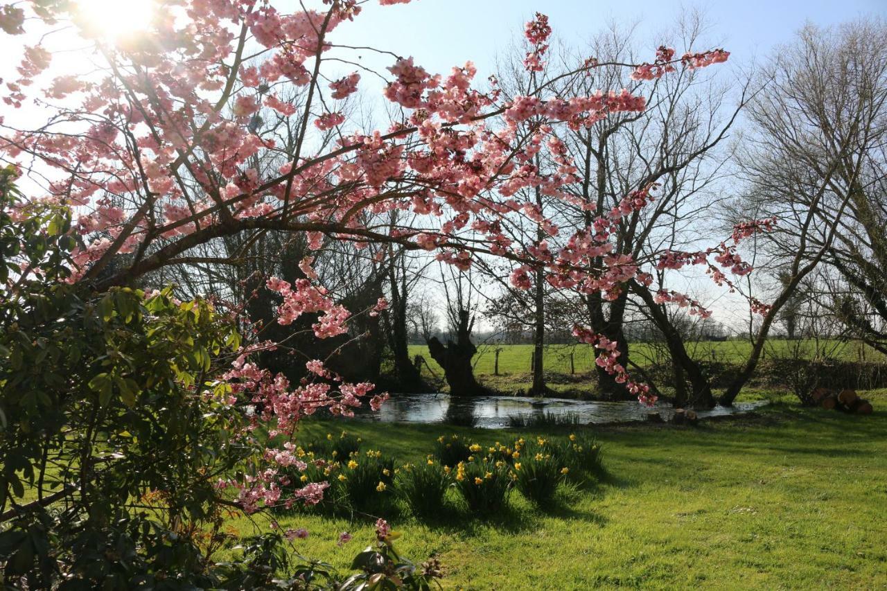 Le Bourgis Bed & Breakfast La Chapelle-Montligeon Luaran gambar
